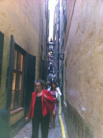 20110609-221701.jpg