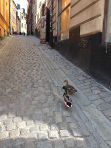 Spökvandring i Gamla Stan