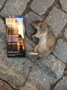Spökvandring i Gamla Stan